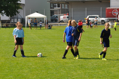 image_2021_34